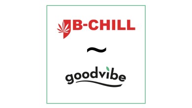 Collaboration between B-Chill and Goodvibe